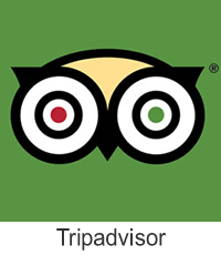 Tripadvisor Online Review Management With iBeFound Digital Marketing